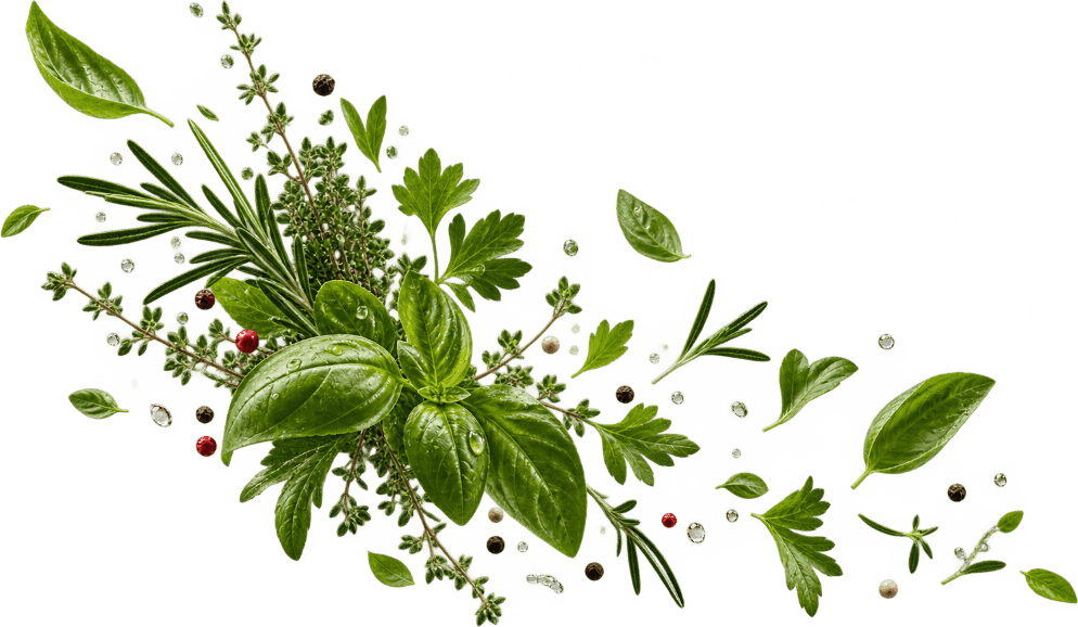 Fresh herbs