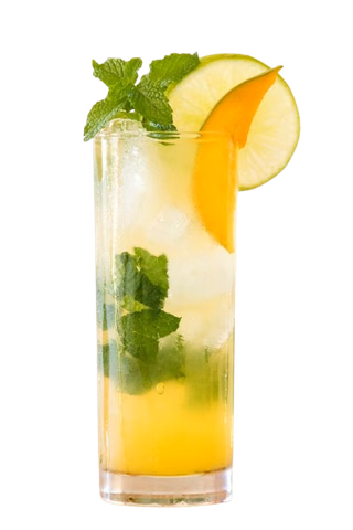 Mango Mojito
